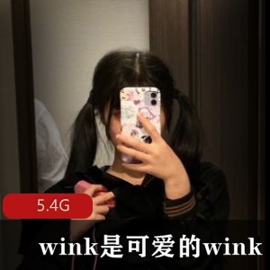 精选合集女神wink是可爱的wink英伦风格诱惑，5.4G视频全收录！